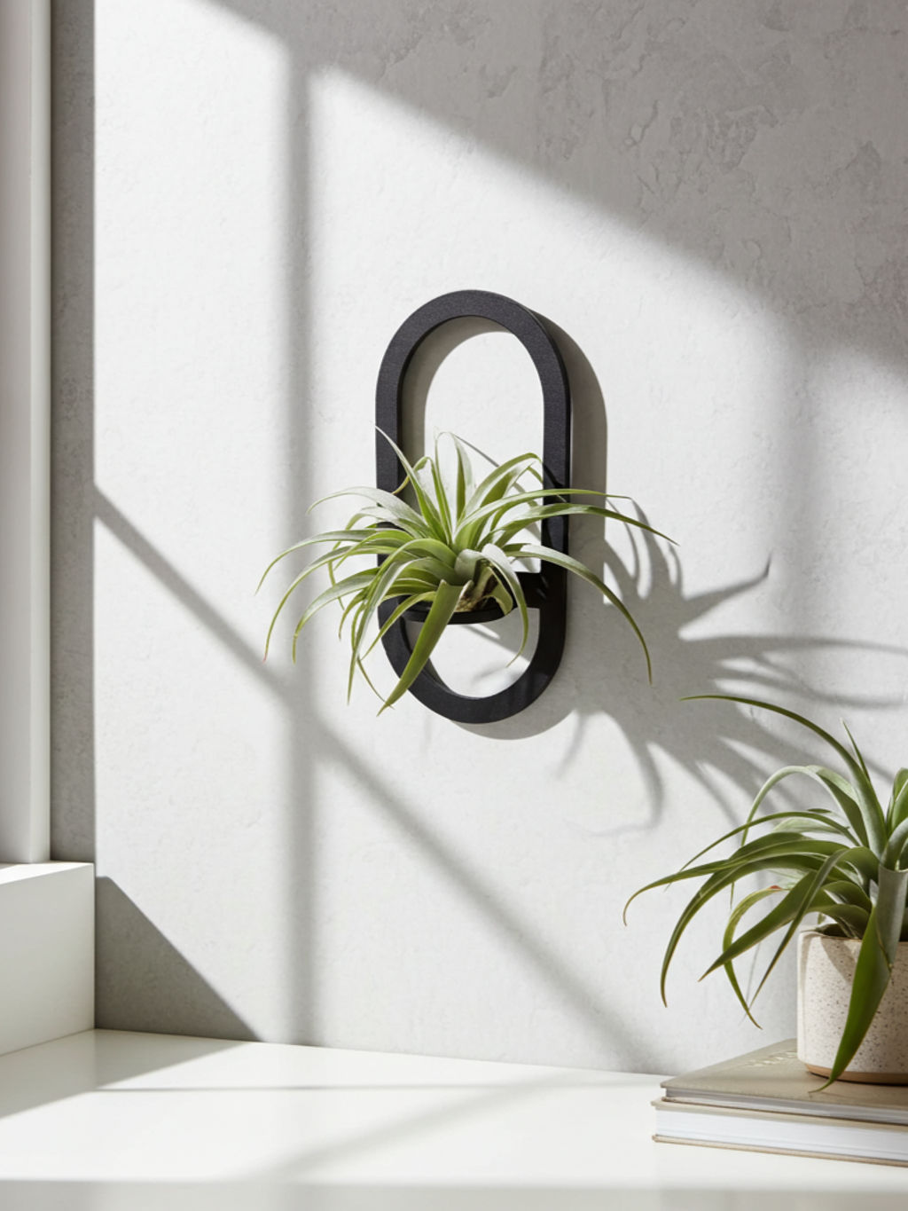 Tilandsia-držiak-na-..._imresizer (2)_2